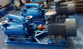 SK水（shuǐ）環真空泵